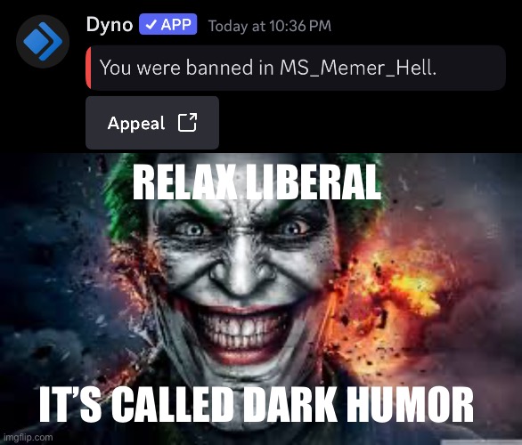 I’m not even bothered tbh I just think it’a funny | RELAX LIBERAL; IT’S CALLED DARK HUMOR | image tagged in jonkler | made w/ Imgflip meme maker