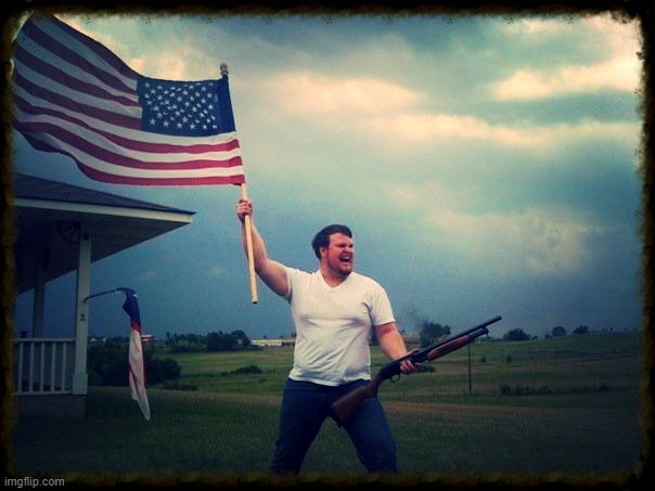 Merica | image tagged in merica | made w/ Imgflip meme maker
