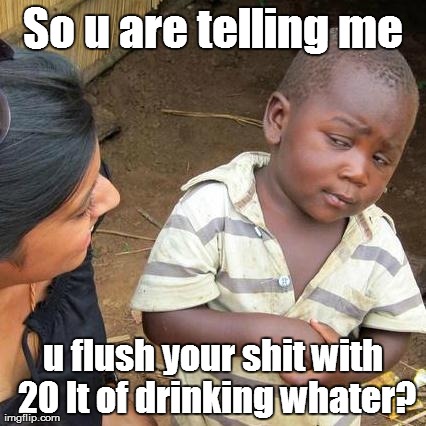 Third World Skeptical Kid | So u are telling me u flush your shit with 20 lt of drinking whater? | image tagged in memes,third world skeptical kid | made w/ Imgflip meme maker