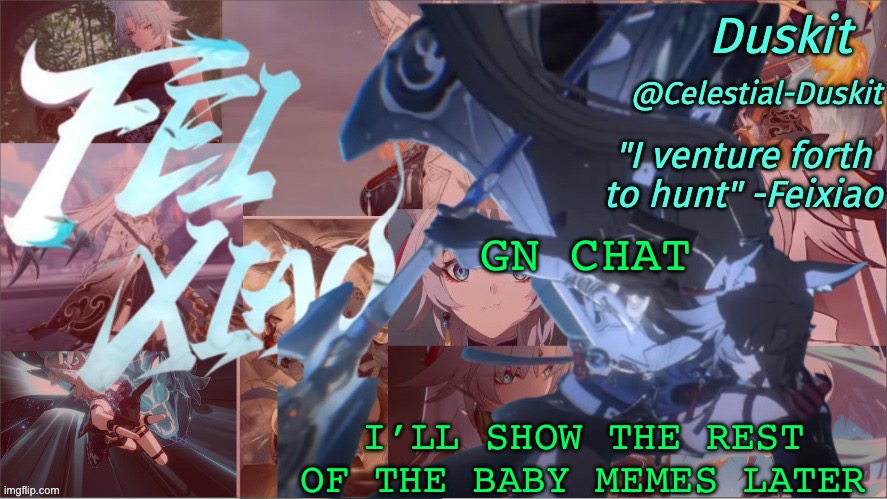 Duskit's Feixiao template | GN CHAT; I’LL SHOW THE REST OF THE BABY MEMES LATER | image tagged in duskit's feixiao template | made w/ Imgflip meme maker