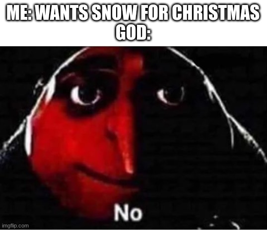 Gru No | ME: WANTS SNOW FOR CHRISTMAS
GOD: | image tagged in gru no | made w/ Imgflip meme maker