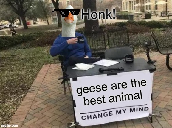 geese are the best animal change my honking mind | Honk! geese are the
best animal | image tagged in memes,change my mind,geese,honk | made w/ Imgflip meme maker