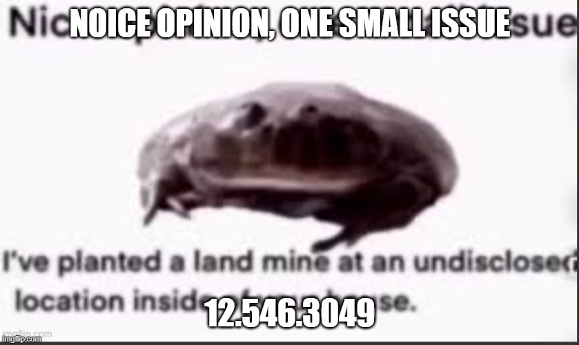 Nice opinion, one small issue | NOICE OPINION, ONE SMALL ISSUE; 12.546.3049 | image tagged in nice opinion one small issue | made w/ Imgflip meme maker