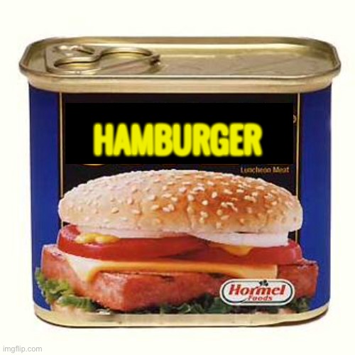 Span | HAMBURGER | image tagged in spam | made w/ Imgflip meme maker