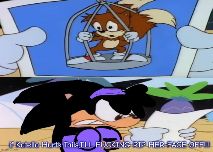 The Reason Joanna Hates Katella(Fake Screenshot) | if Katella Hurts Tails,I'LL FUCKING RIP HER FACE OFF!!! | image tagged in joanna,tails,shitpost | made w/ Imgflip meme maker