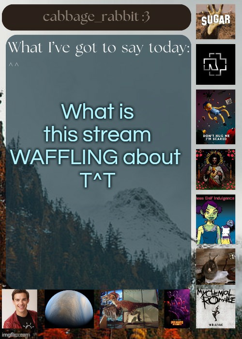 ? | What is this stream WAFFLING about 
T^T | image tagged in cabbage_rabbit | made w/ Imgflip meme maker