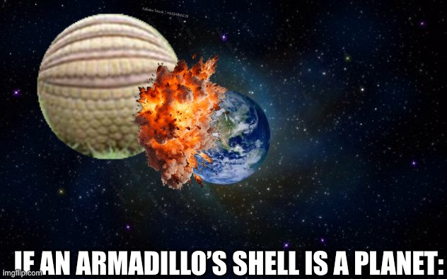 planet earth from space | IF AN ARMADILLO’S SHELL IS A PLANET: | image tagged in planet earth from space | made w/ Imgflip meme maker