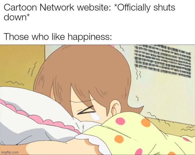 R.I.P. CN Website 1992-2024 | image tagged in cartoon network,website,shut down,happiness,rip,sad | made w/ Imgflip meme maker