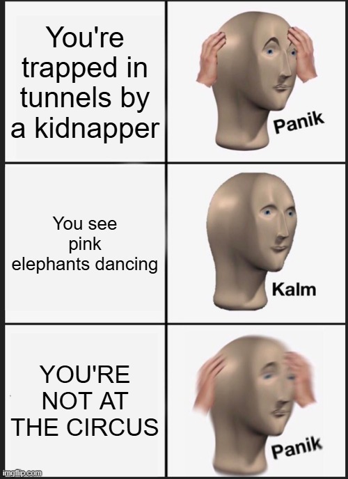 Me, hostaged by someone, placed in tunnels. Time later, me: hallucinating about pink elephants dancing be like 2 | You're trapped in tunnels by a kidnapper; You see pink elephants dancing; YOU'RE NOT AT THE CIRCUS | image tagged in memes,panik kalm panik | made w/ Imgflip meme maker