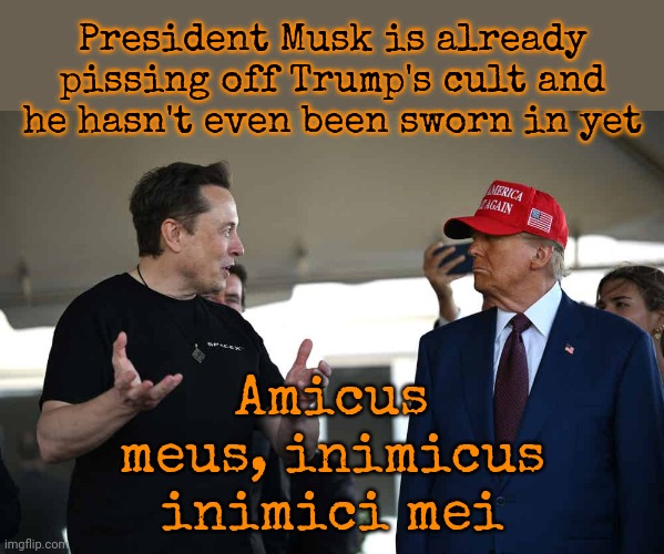 President Musk | President Musk is already pissing off Trump's cult and he hasn't even been sworn in yet; Amicus meus, inimicus inimici mei | image tagged in elon musk,losers,lock them up,donald trump is a convicted rapist,memes,maga | made w/ Imgflip meme maker