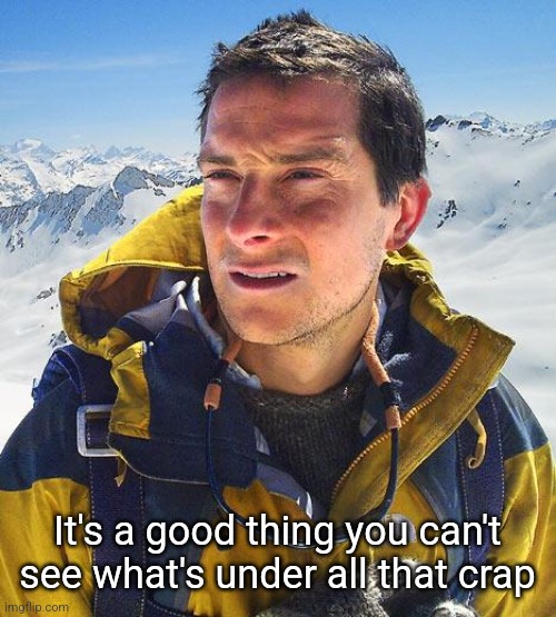 Bear Grylls Meme | It's a good thing you can't see what's under all that crap | image tagged in memes,bear grylls | made w/ Imgflip meme maker