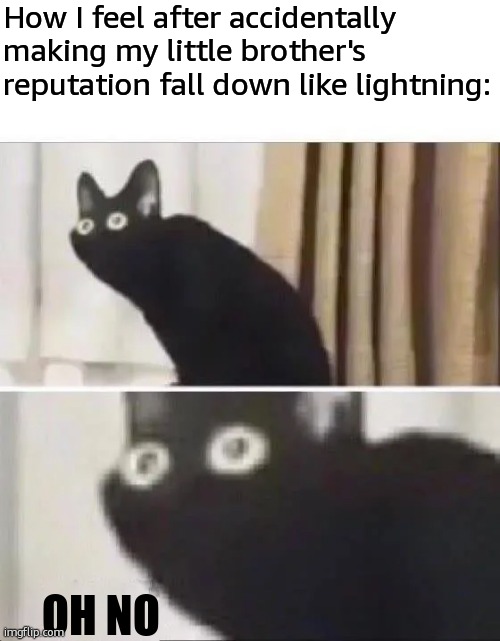Oh No Black Cat | How I feel after accidentally making my little brother's reputation fall down like lightning:; OH NO | image tagged in oh no black cat | made w/ Imgflip meme maker