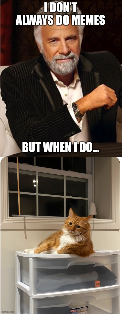 I DON’T ALWAYS DO MEMES; BUT WHEN I DO… | image tagged in i don't always | made w/ Imgflip meme maker