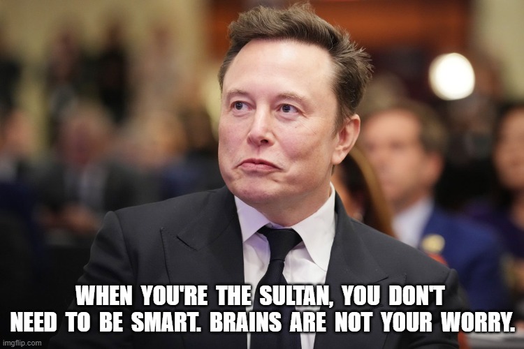 The Swinging Sultan | WHEN  YOU'RE  THE  SULTAN,  YOU  DON'T  NEED  TO  BE  SMART.  BRAINS  ARE  NOT  YOUR  WORRY. | image tagged in elon musk | made w/ Imgflip meme maker