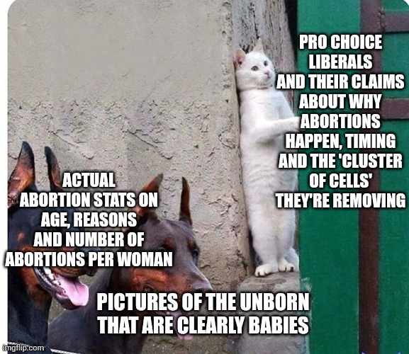 Hidden cat | PRO CHOICE LIBERALS AND THEIR CLAIMS ABOUT WHY ABORTIONS HAPPEN, TIMING AND THE 'CLUSTER OF CELLS' THEY'RE REMOVING; ACTUAL ABORTION STATS ON AGE, REASONS AND NUMBER OF ABORTIONS PER WOMAN; PICTURES OF THE UNBORN THAT ARE CLEARLY BABIES | image tagged in hidden cat | made w/ Imgflip meme maker