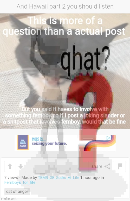 made w/ Imgflip meme maker