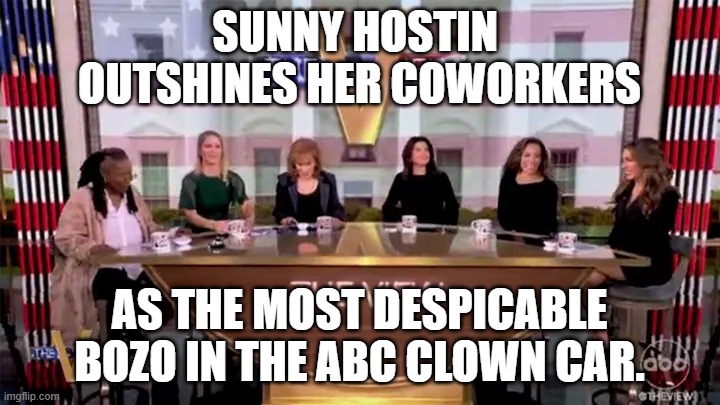 The View: A Top 5 Most Annoying Show | SUNNY HOSTIN 
 OUTSHINES HER COWORKERS; AS THE MOST DESPICABLE BOZO IN THE ABC CLOWN CAR. | image tagged in the view a top 5 most annoying show | made w/ Imgflip meme maker