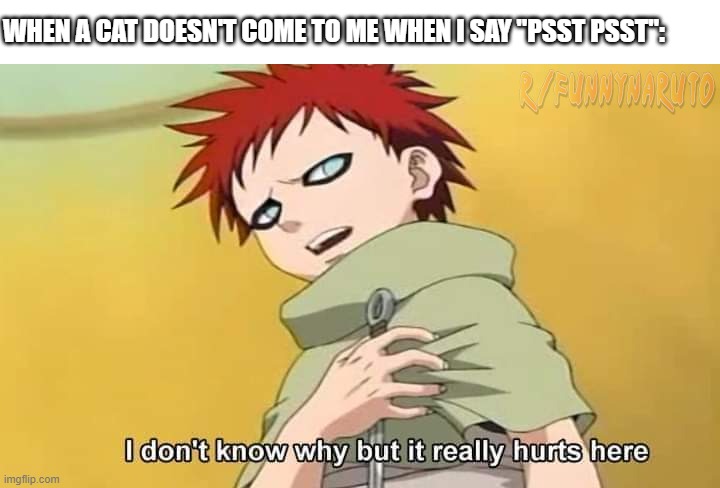 Can't summon cat | image tagged in naruto,gaara,cat | made w/ Imgflip meme maker