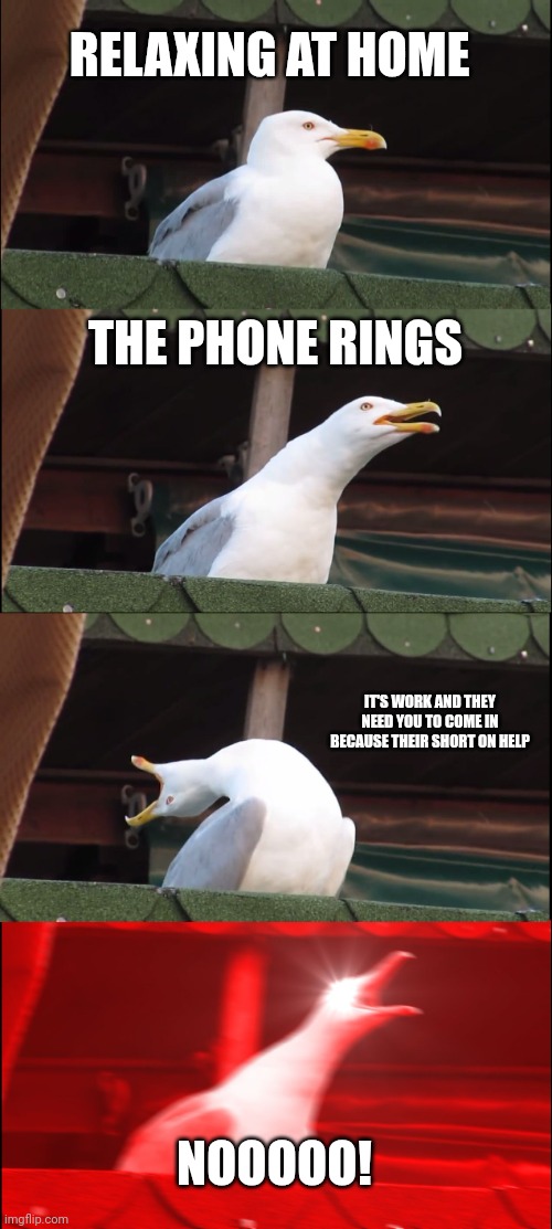 Work | RELAXING AT HOME; THE PHONE RINGS; IT'S WORK AND THEY NEED YOU TO COME IN BECAUSE THEIR SHORT ON HELP; NOOOOO! | image tagged in memes,inhaling seagull,funny memes | made w/ Imgflip meme maker