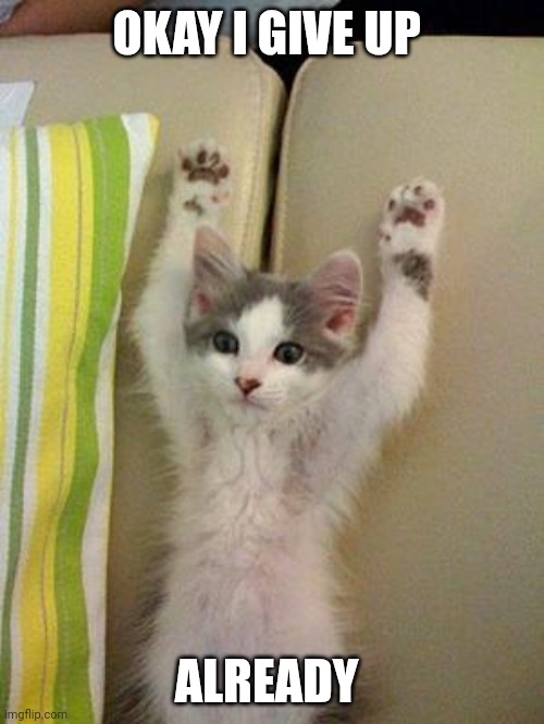 Give up | OKAY I GIVE UP; ALREADY | image tagged in hands up kitten,funny memes | made w/ Imgflip meme maker