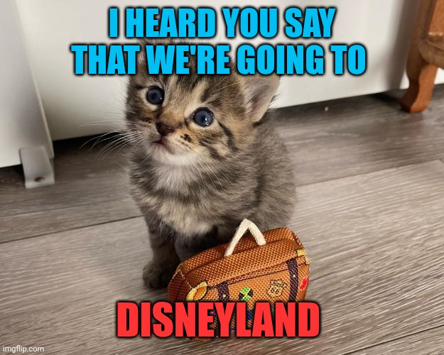 Disneyland | I HEARD YOU SAY THAT WE'RE GOING TO; DISNEYLAND | image tagged in cat with luggage | made w/ Imgflip meme maker