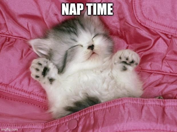 Nap time | NAP TIME | image tagged in kitten sleeping,funny memes | made w/ Imgflip meme maker