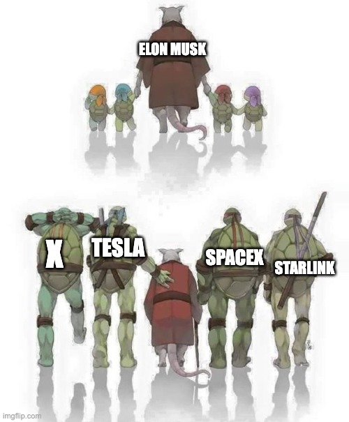 Elon Musk and his Teenage Mutant Ninja Startups | ELON MUSK; TESLA; X; SPACEX; STARLINK | image tagged in ninja turtles evolution | made w/ Imgflip meme maker