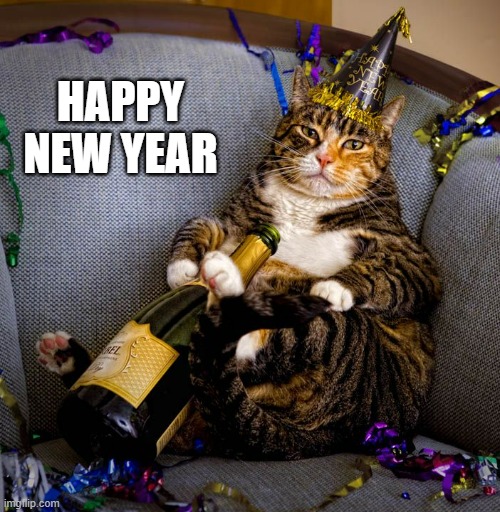 memes by Brad - Happy New year from a cat - humor - | HAPPY NEW YEAR | image tagged in cats,kittens,funny,happy new year,merry christmas | made w/ Imgflip meme maker