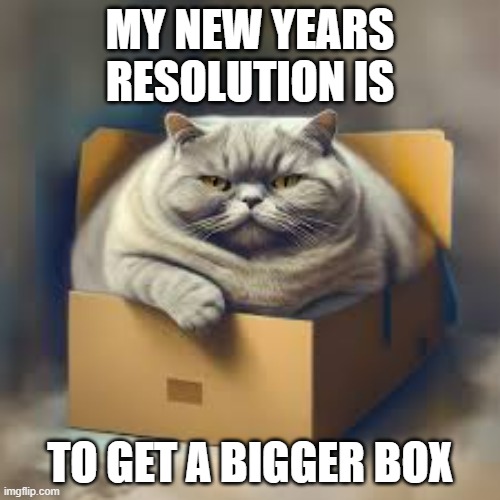 memes by Brad - My cats New Years resolution is to get a bigger box - humor - | MY NEW YEARS RESOLUTION IS; TO GET A BIGGER BOX | image tagged in cats,kittens,funny,fat cat,box,new years resolutions | made w/ Imgflip meme maker