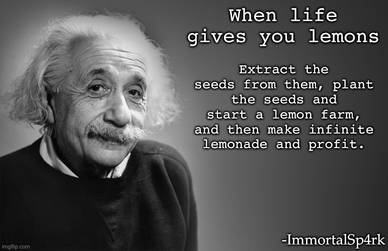 Don’t just make lemonade, make a business | When life gives you lemons; Extract the seeds from them, plant the seeds and start a lemon farm, and then make infinite lemonade and profit. -ImmortalSp4rk | image tagged in albert einstein quotes,free money | made w/ Imgflip meme maker