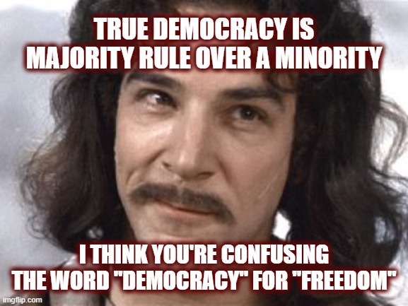 TRUE DEMOCRACY IS MAJORITY RULE OVER A MINORITY I THINK YOU'RE CONFUSING THE WORD "DEMOCRACY" FOR "FREEDOM" | image tagged in i do not think that means what you think it means | made w/ Imgflip meme maker