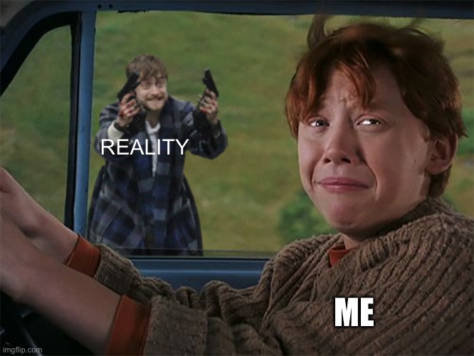 Harry with guns, scared Ron | REALITY; ME | image tagged in harry with guns scared ron | made w/ Imgflip meme maker