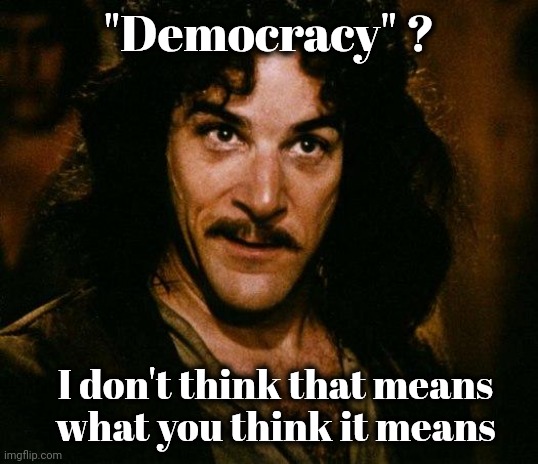 Inigo Montoya Meme | "Democracy" ? I don't think that means
what you think it means | image tagged in memes,inigo montoya | made w/ Imgflip meme maker