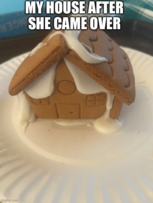 MY HOUSE AFTER SHE CAME OVER | image tagged in dirty,cute | made w/ Imgflip meme maker