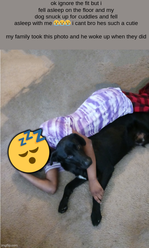 ok ignore the fit but i fell asleep on the floor and my dog snuck up for cuddles and fell asleep with me 😭😭😭 i cant bro hes such a cutie
 
my family took this photo and he woke up when they did; 😴 | made w/ Imgflip meme maker