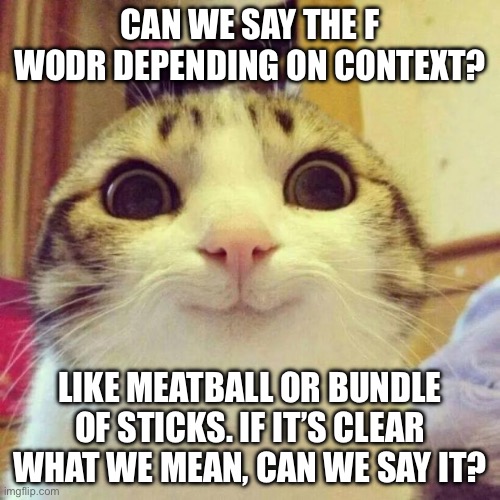 To lazy to change text setting | CAN WE SAY THE F WODR DEPENDING ON CONTEXT? LIKE MEATBALL OR BUNDLE OF STICKS. IF IT’S CLEAR WHAT WE MEAN, CAN WE SAY IT? | image tagged in memes,smiling cat | made w/ Imgflip meme maker