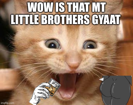 Excited Cat | WOW IS THAT MT LITTLE BROTHERS GYAAT | image tagged in memes,excited cat | made w/ Imgflip meme maker