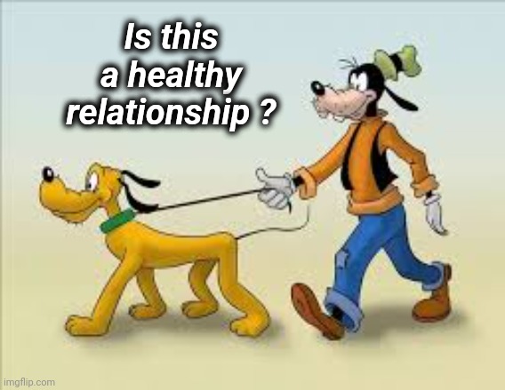 goofy and pluto | Is this a healthy relationship ? | image tagged in goofy and pluto | made w/ Imgflip meme maker