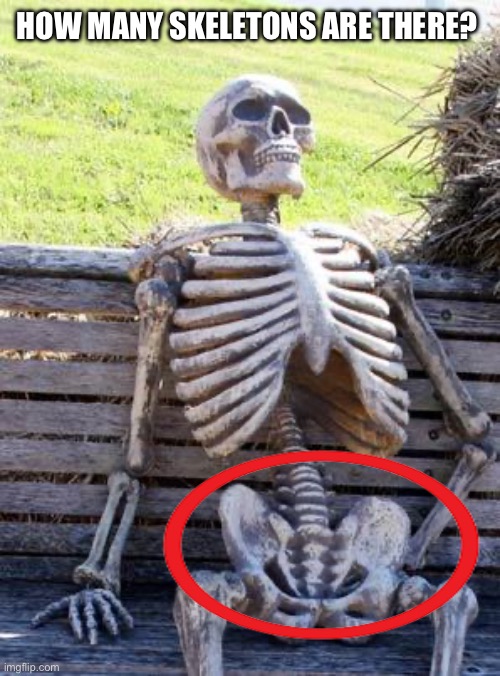 Waiting Skeleton Meme | HOW MANY SKELETONS ARE THERE? | image tagged in memes,waiting skeleton | made w/ Imgflip meme maker