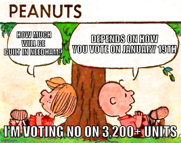 Peanuts Charlie Brown Peppermint Patty | DEPENDS ON HOW YOU VOTE ON JANUARY 19TH; HOW MUCH WILL BE BUILT IN NEEDHAM? I'M VOTING NO ON 3,200+ UNITS | image tagged in peanuts charlie brown peppermint patty | made w/ Imgflip meme maker