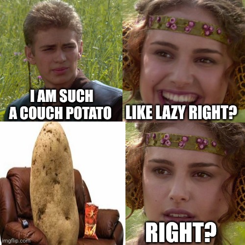 He is such a couch potato | I AM SUCH A COUCH POTATO; LIKE LAZY RIGHT? RIGHT? | image tagged in anakin padme 4 panel,lol,funny,fun,mem,memes | made w/ Imgflip meme maker