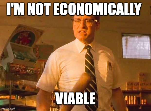 Economically viable | I'M NOT ECONOMICALLY; VIABLE | image tagged in falling down,funny memes | made w/ Imgflip meme maker