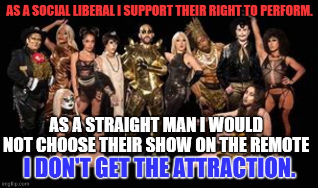 { would rather watch re-runs of "Mama's Family." | AS A SOCIAL LIBERAL I SUPPORT THEIR RIGHT TO PERFORM. AS A STRAIGHT MAN I WOULD NOT CHOOSE THEIR SHOW ON THE REMOTE; I DON'T GET THE ATTRACTION. | image tagged in politics | made w/ Imgflip meme maker