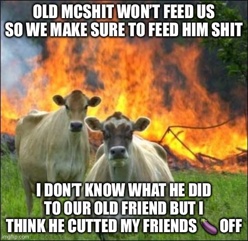 Evil Cows | OLD MCSHIT WON’T FEED US SO WE MAKE SURE TO FEED HIM SHIT; I DON’T KNOW WHAT HE DID TO OUR OLD FRIEND BUT I THINK HE CUTTED MY FRIENDS 🍆 OFF | image tagged in memes,evil cows | made w/ Imgflip meme maker