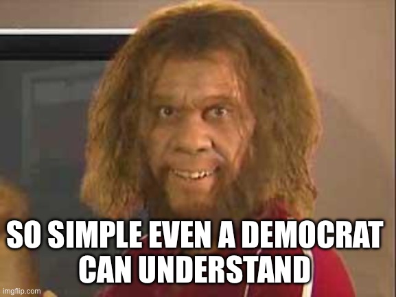 caveman | SO SIMPLE EVEN A DEMOCRAT 
CAN UNDERSTAND | image tagged in caveman | made w/ Imgflip meme maker