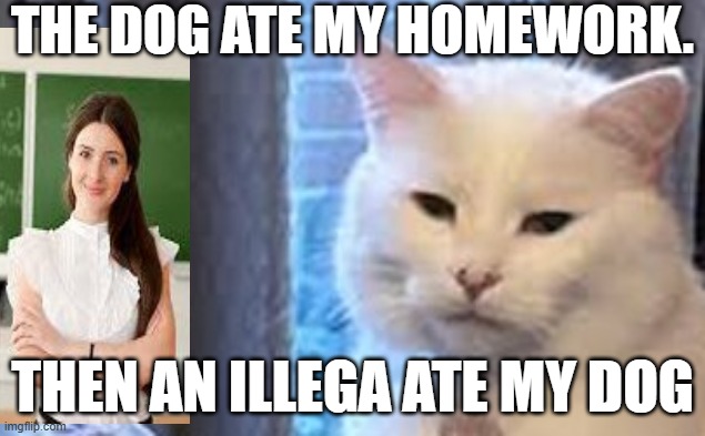 illegal ate dog | THE DOG ATE MY HOMEWORK. THEN AN ILLEGA ATE MY DOG | image tagged in smudge the cat | made w/ Imgflip meme maker