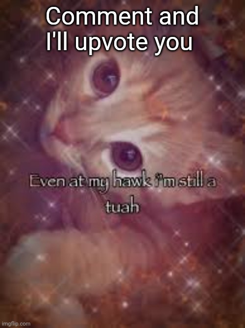 Even at my hawk I'm still a tuah | Comment and I'll upvote you | image tagged in even at my hawk i'm still a tuah | made w/ Imgflip meme maker