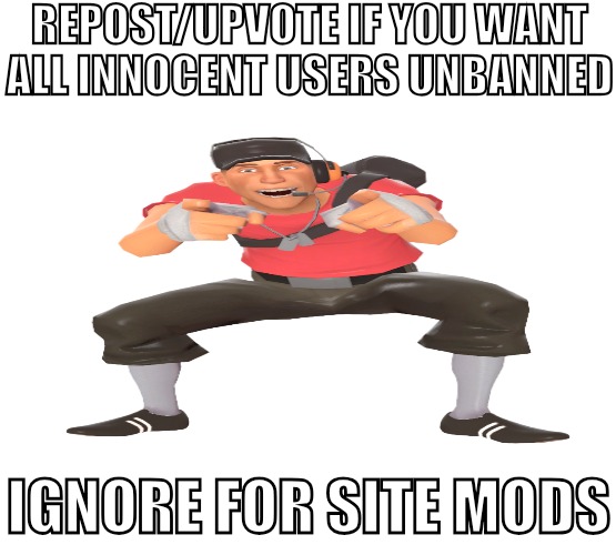 REPOST/UPVOTE IF YOU WANT ALL INNOCENT USERS UNBANNED; IGNORE FOR SITE MODS | made w/ Imgflip meme maker