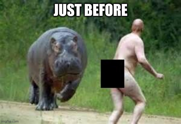 Hippo vs. Naked Guy | JUST BEFORE | image tagged in hippo vs naked guy | made w/ Imgflip meme maker