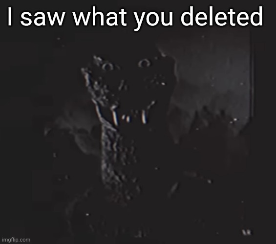 Godzilla analog | I saw what you deleted | image tagged in godzilla analog | made w/ Imgflip meme maker